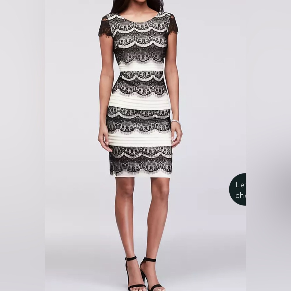 Melrose womens scalloped lace and textured stripe sheath dress size 8